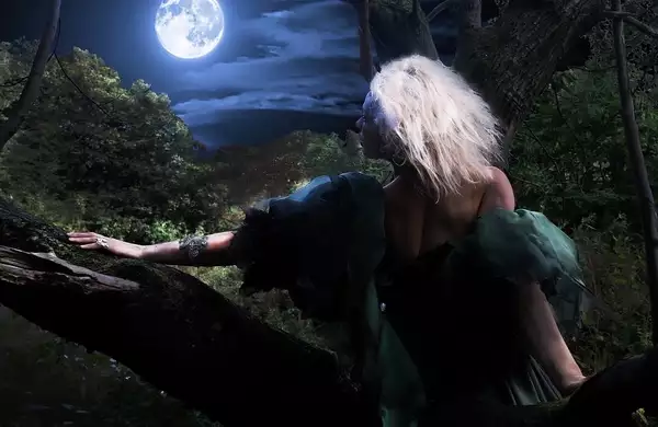 A person in a woodland setting looks at the moon with their back to the viewer.